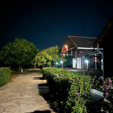 Colt De Rai Corbu (Constanta) Exterior foto
